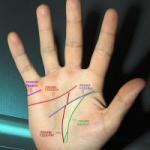 Palmistry - we determine the line of marriage and children on the hand