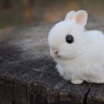 Kľúčenka z kožušinového králika - majstrovská trieda
