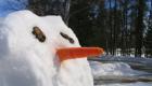 What can you make a nose for a snowman