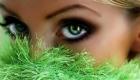 Hair color for green eyes: how to choose What hair color to emphasize green eyes