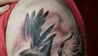 Τατουάζ Griffin στον χαρακτηρισμό του κρανίου