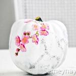 Crafts from pumpkin - original ideas and a master class on creating home decorations (85 photos)