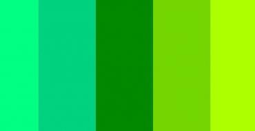 ფირუზისფერიდან ზეთისხილამდე: მწვანე ფერის ჩრდილების სახელები