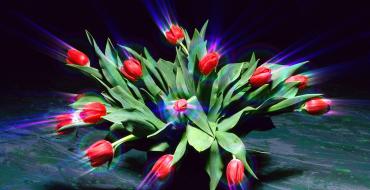 Светящиеся цветы поднимут рентабельность любого цветочного магазина