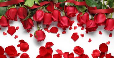 Лепестки и бутоны роз: как правильно и красиво засушить, а также использовать для украшения дома
