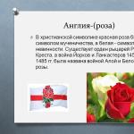 Blomster og planter som symboler for verdens land O Presentasjonen ble utarbeidet av Victoria Aldokimova Lærer Kostrikova I