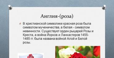 Cvijeće i bilje kao simboli zemalja svijeta O Prezentaciju je pripremila Victoria Aldokimova Učiteljica Kostrikova I